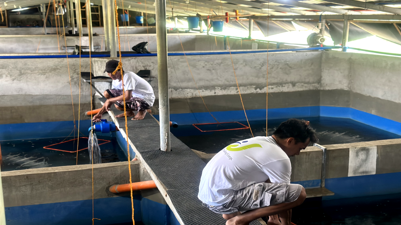 unagi-trading gallery3